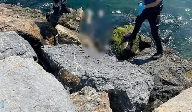 3 kardeşin sır ölümünde kahreden detay!
