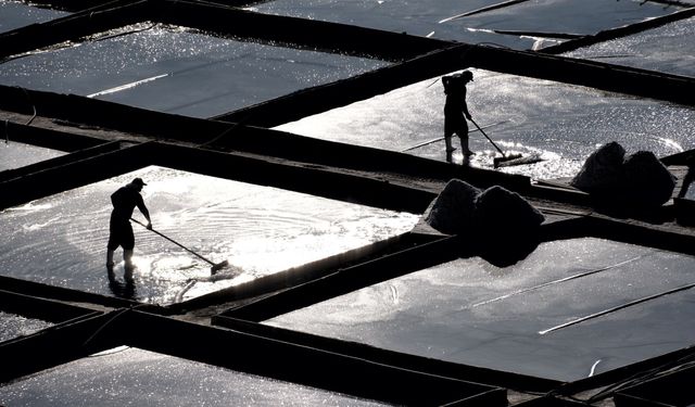 3 bin yıllık gelenek sürüyor: Suyu ekip tuz biçiyorlar