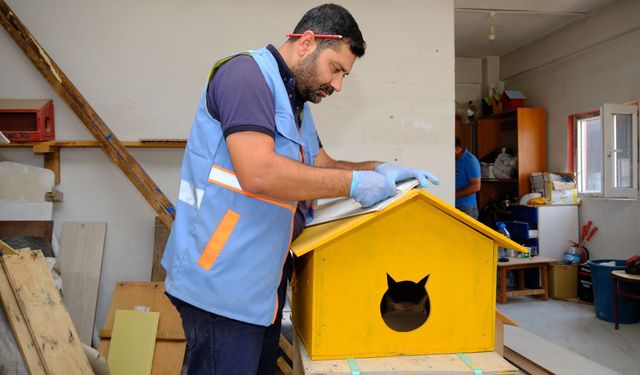 Van’da geri dönüşüm malzemeleri kedi kulübesine dönüşüyor!
