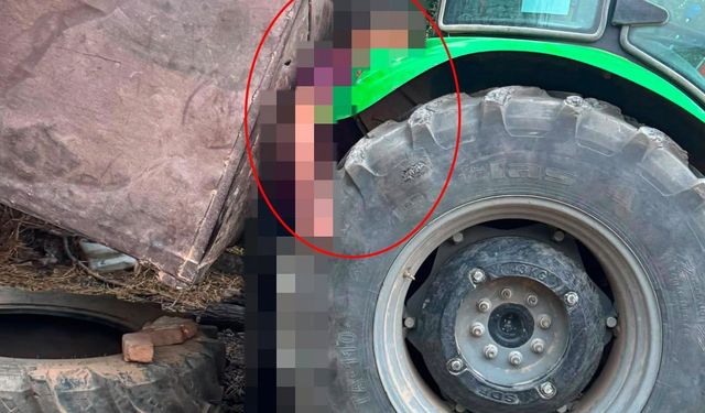 Orman işçisi traktör ile römorkun arasında sıkışarak feci şekilce can verdi!