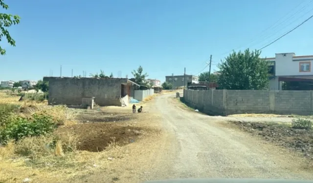 Kedinin ısırdığı 4 yaşındaki çocuk hayatını kaybetti!