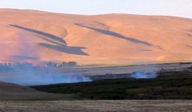 Van’da birçok kuş türüne ev sahipliği yapan sazlıkta korkutan yangın!