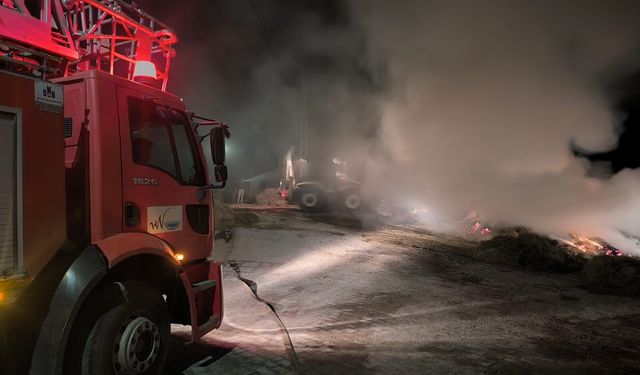Van'da binlerce bağ ot yandı!