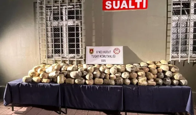 Van'daki uyuşturucu operasyonunda bir şüpheli gözaltına alındı!