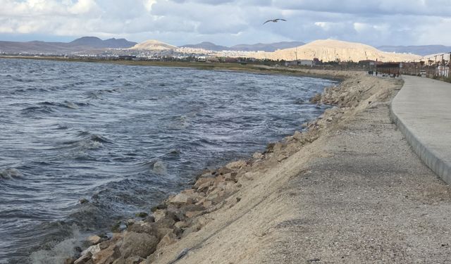 Van’da şiddetli rüzgar uçuşları engelledi: Birçok uçak rötar yaptı!