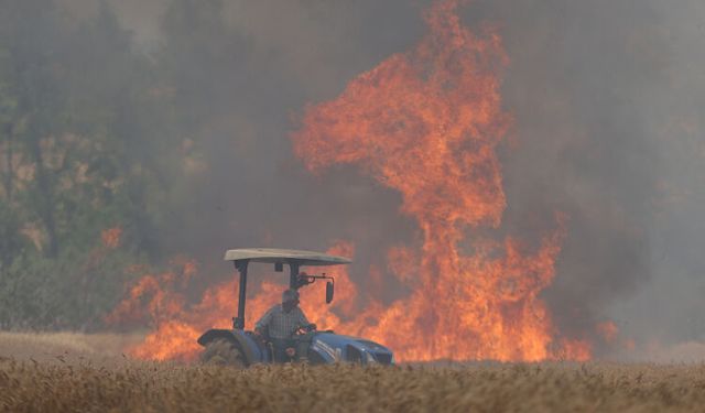 Van’ın tarım alanları yangın yeri!