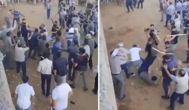Canlı hayvan pazarında taşlı sopalı kavga: Çok sayıda yaralı var!
