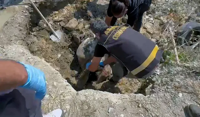 Ayşegül Yaşar cinayetinde yeni gelişme: Anne ve babanın cezası belli oldu!