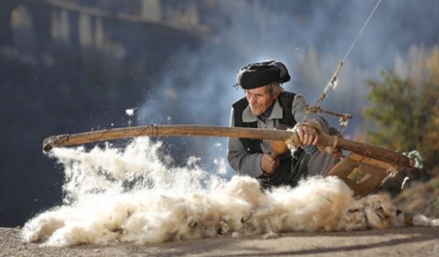 Vanlı fotoğraf sanatçısı dünya birincisi oldu!