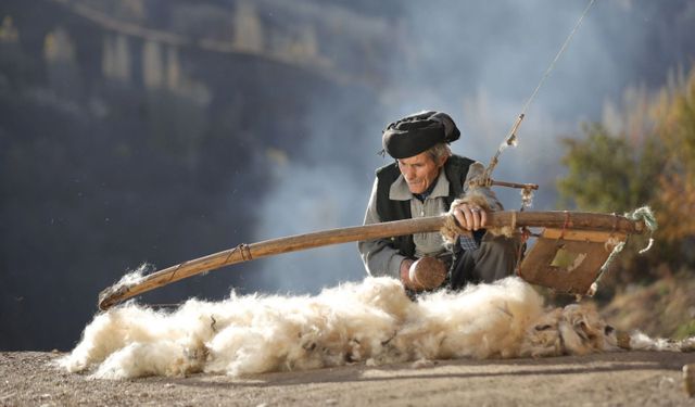 Vanlı fotoğraf sanatçısı dünya birincisi oldu!
