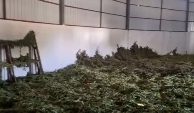 Dev operasyonda dudak uçuklatan rakam: 2 ton uyuşturucu madde ele geçirildi!
