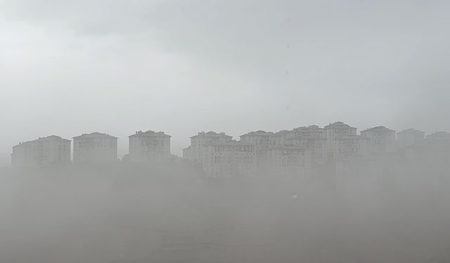 Van'ın yanı başı sise hapsoldu!
