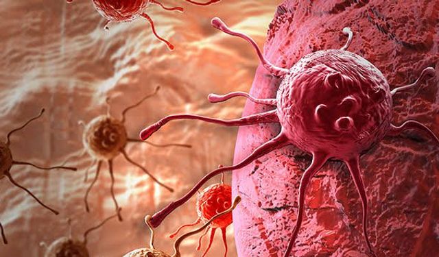 Kanserle mücadelede yeni rota Van'dan çiziliyor: Vanlı profesörden mide kanseri için çarpıcı reçete!