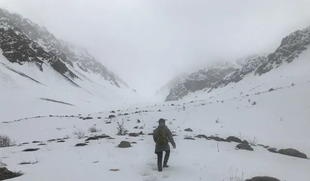 Lapa lapa yağdı: Bir ilimize daha mevsimin ilk karı yağdı!