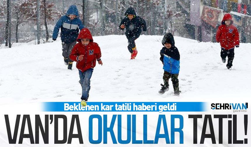 Van'da okullar yarın tatil edildi! İşte 28 Kasım'da kar tatili olan ilçeler