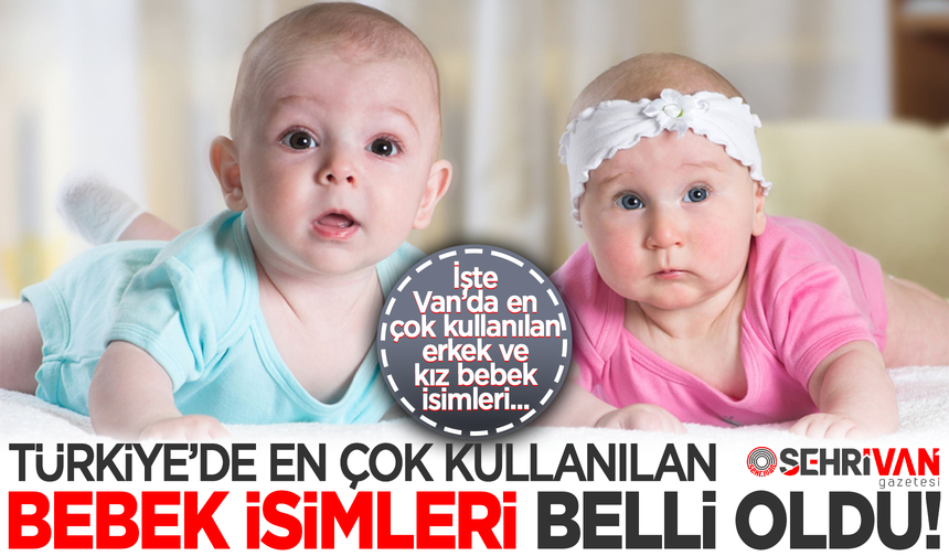 Türkiye'de en çok kullanılan bebek isimleri belli oldu! İşte Van’da en çok kullanılan isim…