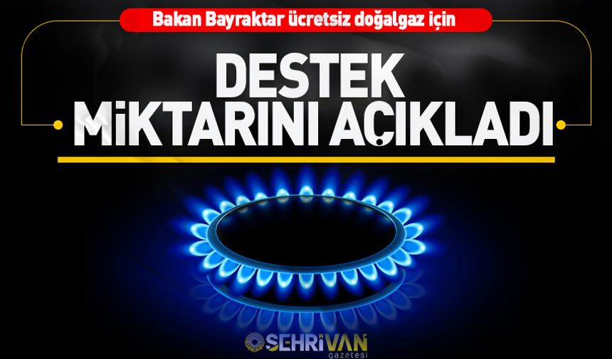 Bakan Bayraktar ücretsiz doğalgaz için destek miktarını açıkladı