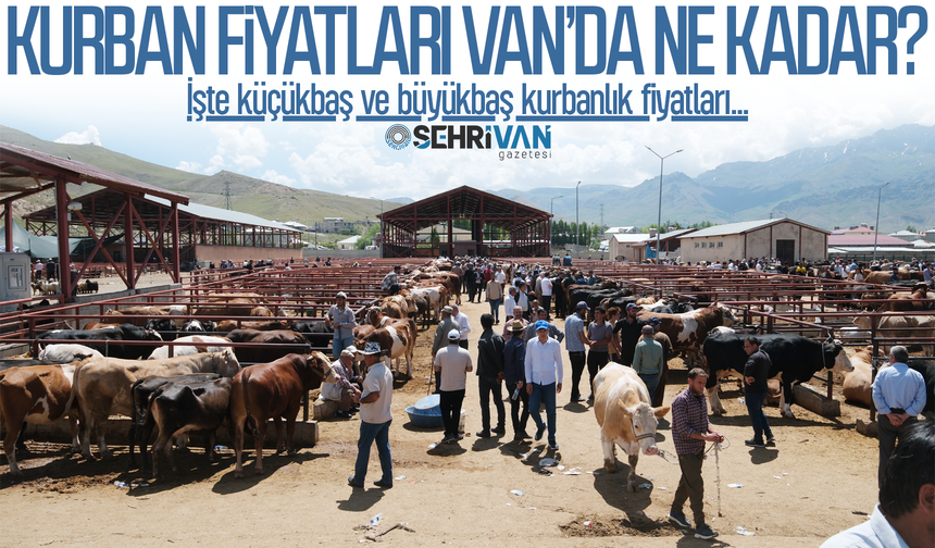 Van’da kurbanlık fiyatları belli oldu! İşte küçükbaş ve büyükbaş fiyatları…