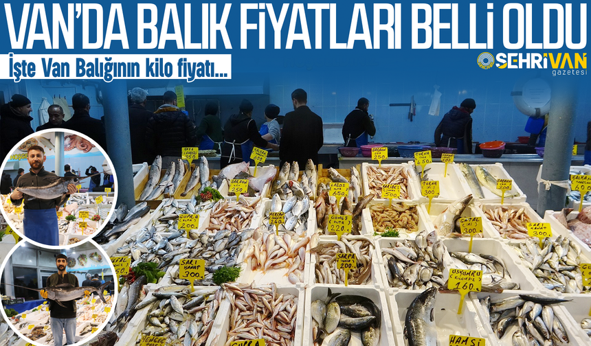 Van’da balık fiyatları cep yakıyor: İşte Van Balığının bu yılki fiyatı