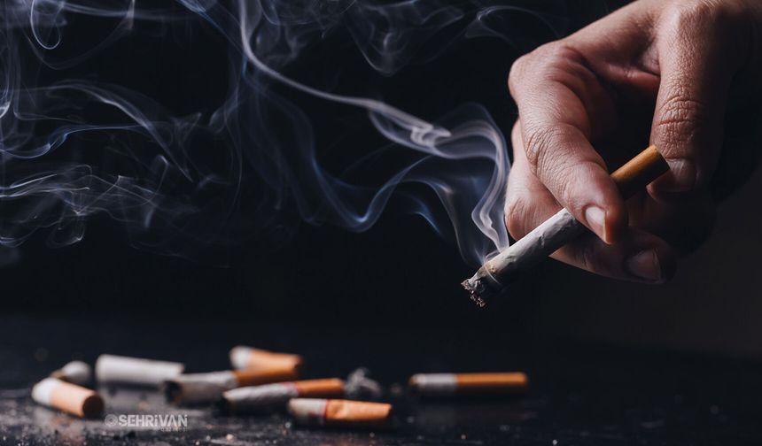 Türkiye sigara tüketiminde dünya zirvesinde