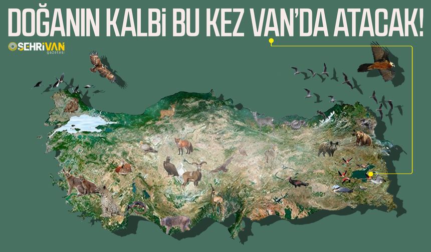 Doğanın kalbi bu kez Van’da atacak!