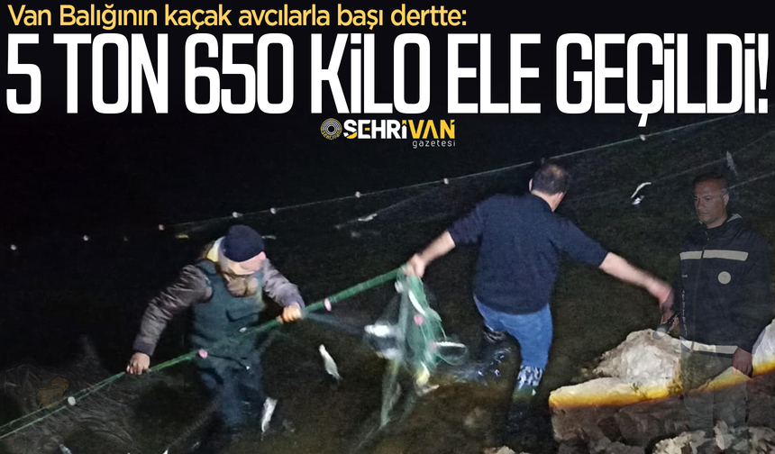 Van Balığının başı dertte: Tam 5 ton 650 kilo ele geçildi!