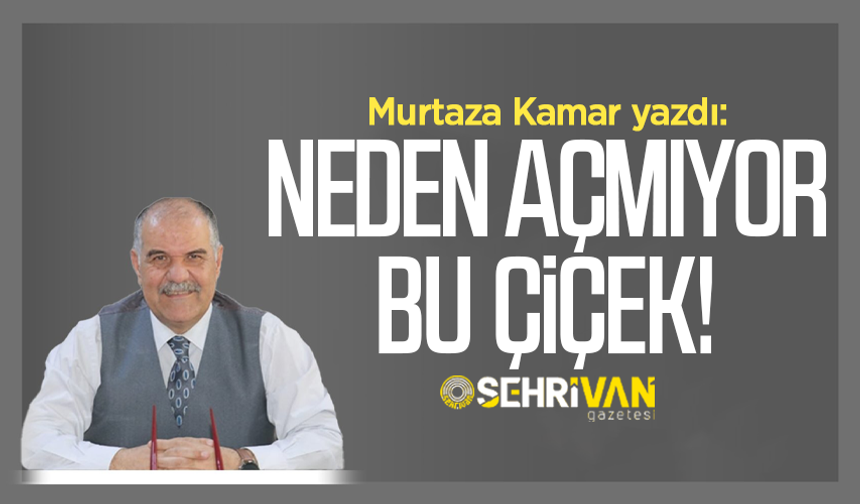 Murtaza Kamar yazdı: Neden açmıyor bu çiçek!