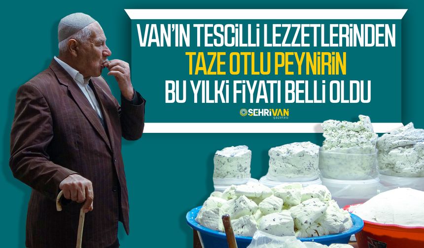 Van’ın tescilli lezzetlerinden taze otlu peynirin bu yılki fiyatı açıklandı