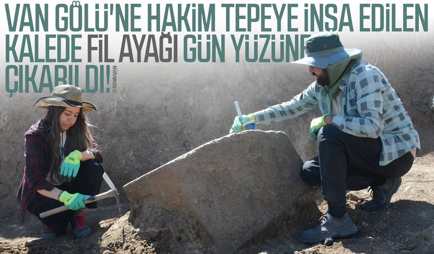 Van Gölü'ne hakim tepeye inşa edilen kalede fil ayağı gün yüzüne çıkarıldı!