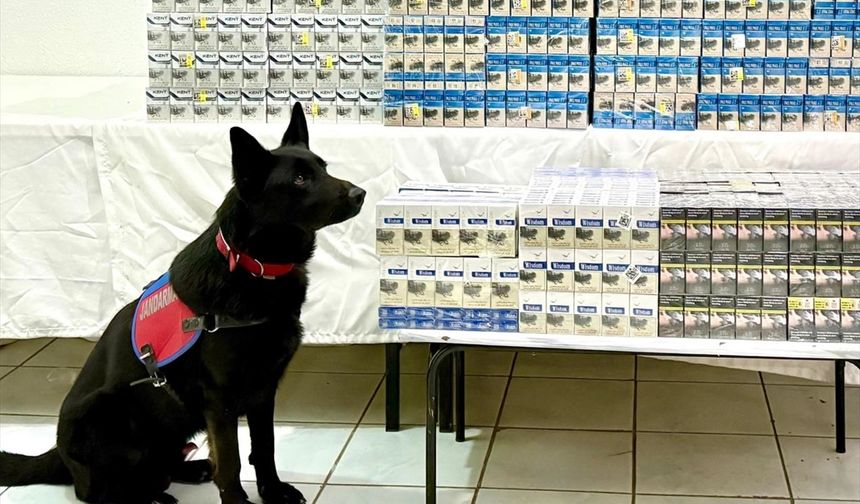 Van'da 8 bin 200 paket gümrük kaçağı sigara ele geçirildi