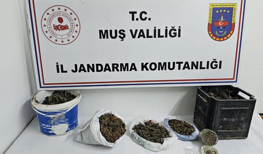 Muş’ta uyuşturucu operasyonu