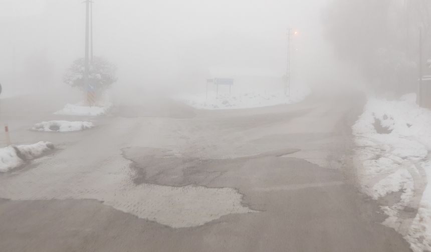 Başkale'de sis etkili oldu