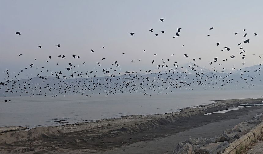 Van Gölü semalarında sıra dışı manzara!