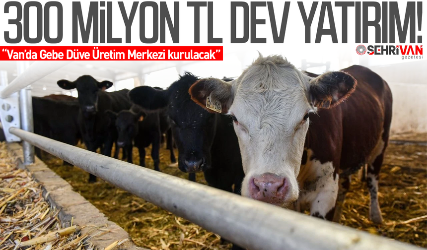 Van’a 300 milyon TL dev yatırım!