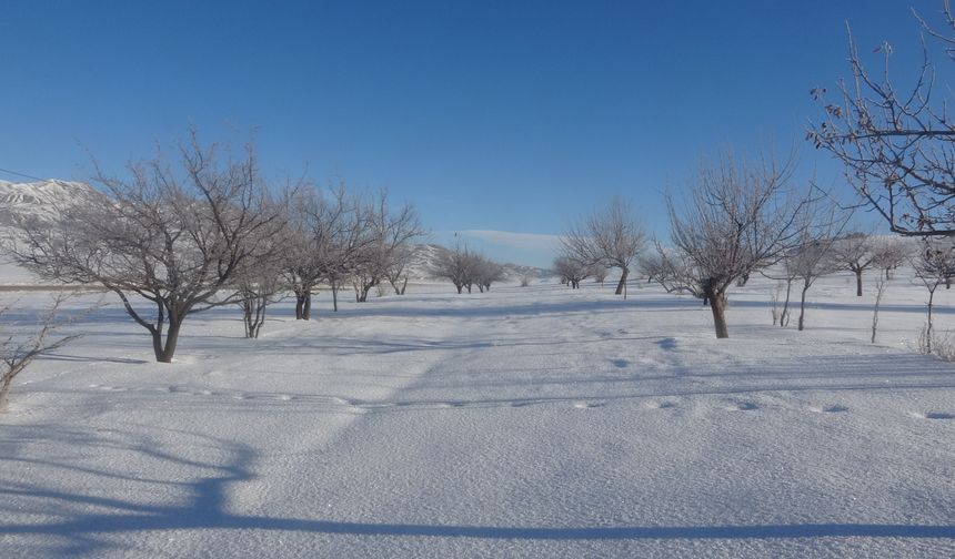 Van'da sibirya soğuklarından eşsiz görüntüler!