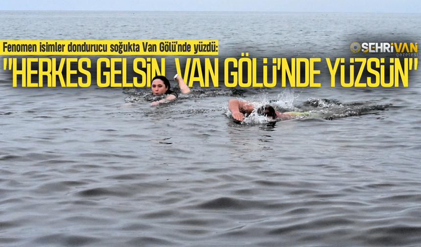 Fenomen isim dondurucu soğukta Van Gölü'nde yüzdü!