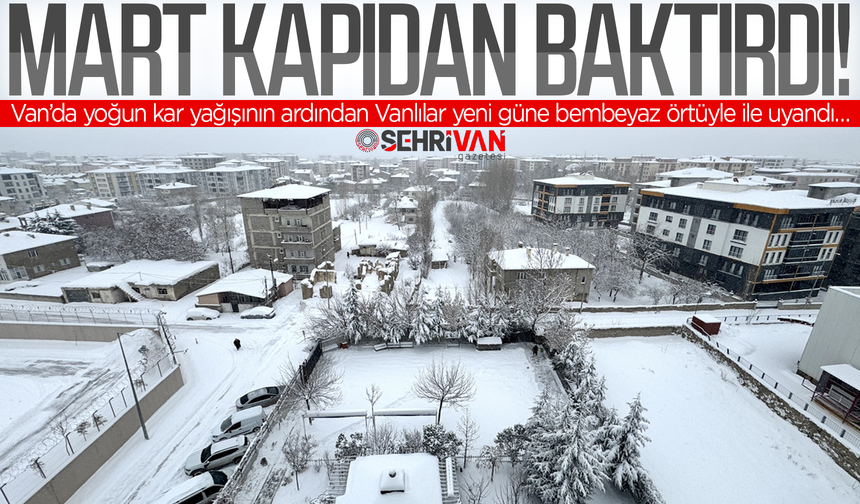 Mart Van'a kapıdan baktırdı: Vanlılar yeni güne bembeyaz örtüyle uyandı!