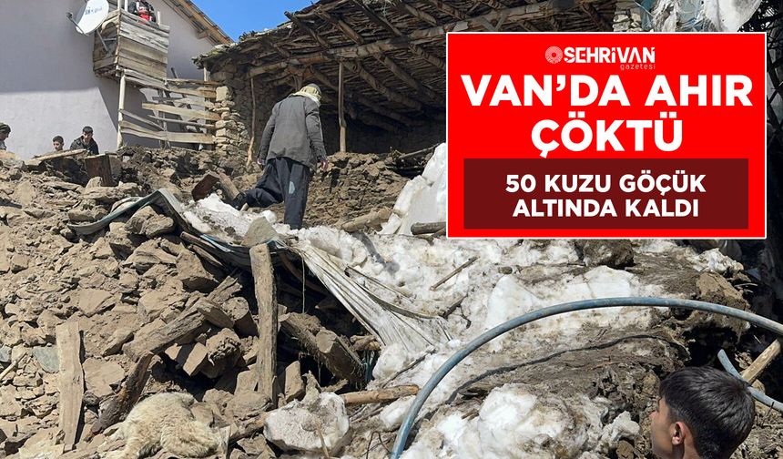 Van’da ahır çöktü: 50 kuzu göçük altında kaldı