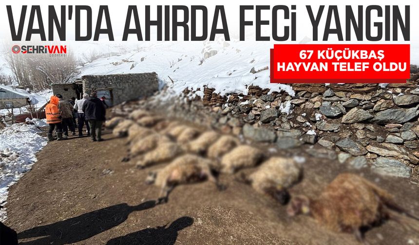 Van'da ahırda feci yangın: 67 küçükbaş hayvan telef oldu