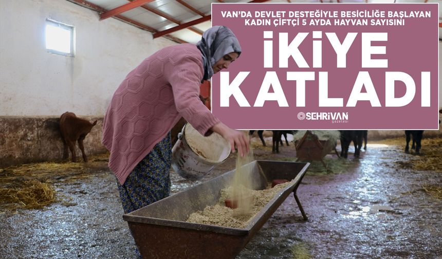 Van’da devlet desteğiyle besiciliğe başlayan kadın çiftçi 5 ayda hayvan sayısını ikiye katladı