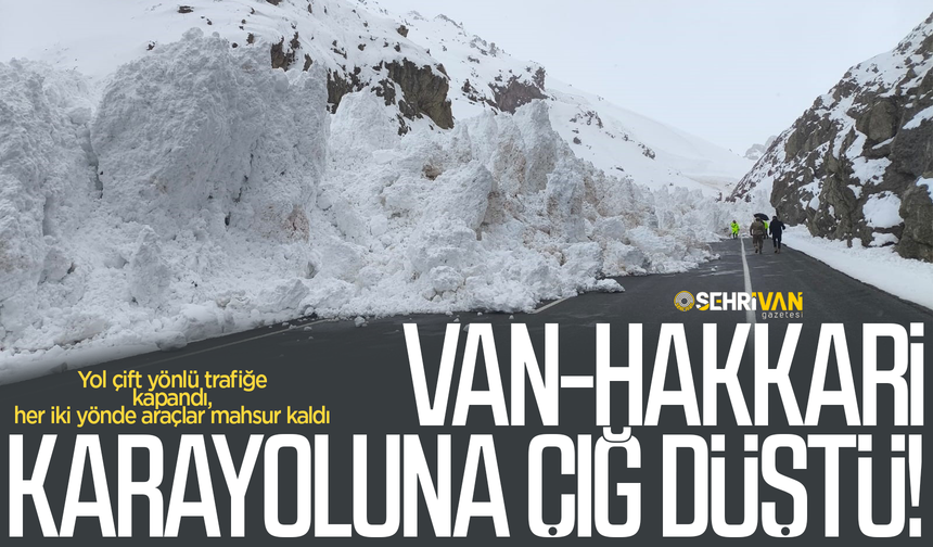Van-Hakkari yolunda çığ felaketi!