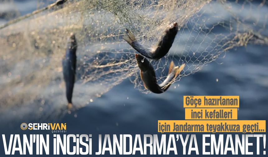 Herkes bu anı bekliyor: Van’da doğanın en muazzam yolculuğu başlıyor!