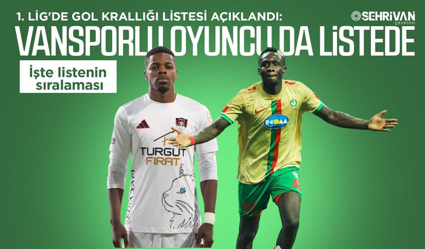 1. Lig'de gol krallığı listesi açıklandı: Vansporlu oyuncu da listede