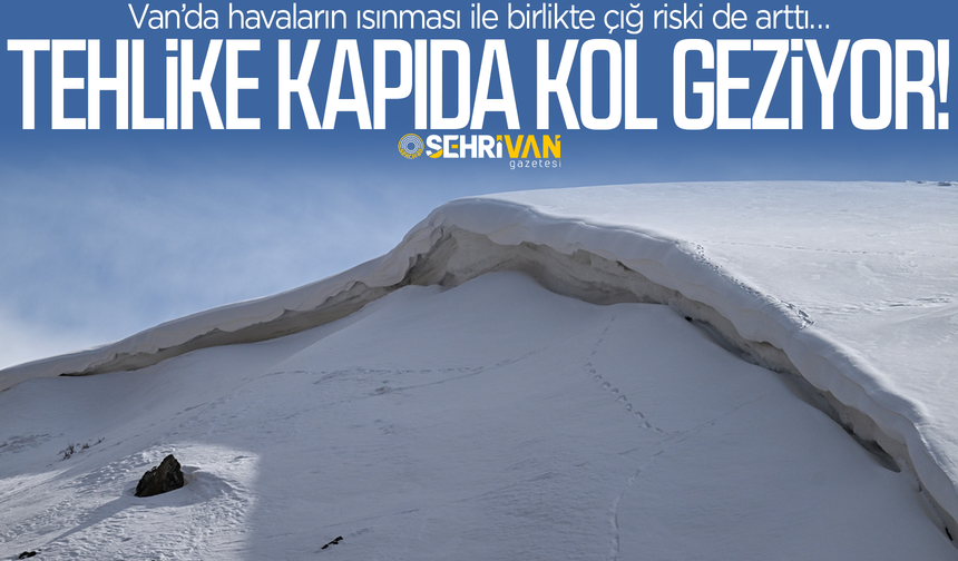 Van’da büyük tehlike kapıda kol geziyor: Uzman isim uyardı!