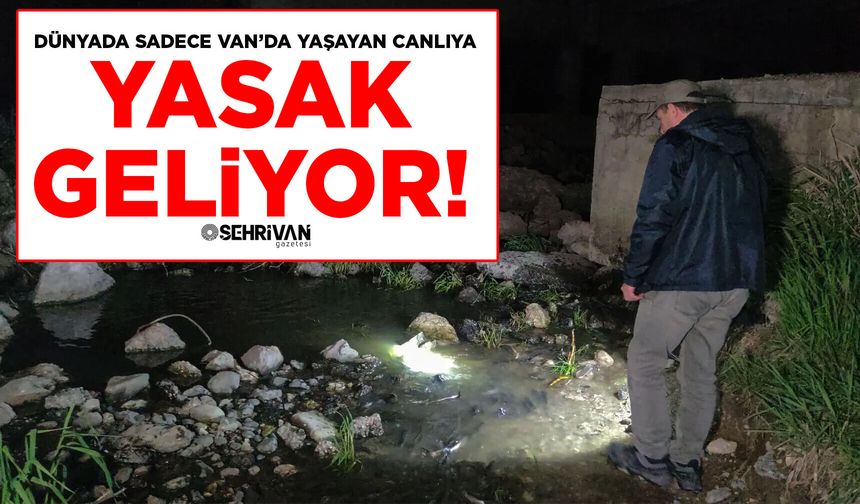 Dünyada sadece Van’da yaşayan canlıya yasak geliyor!