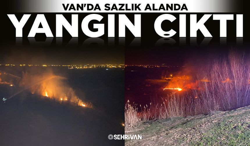 Van'da sazlık alanda yangın çıktı