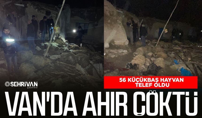 Van'da ahır çöktü: 56 küçükbaş hayvan telef oldu