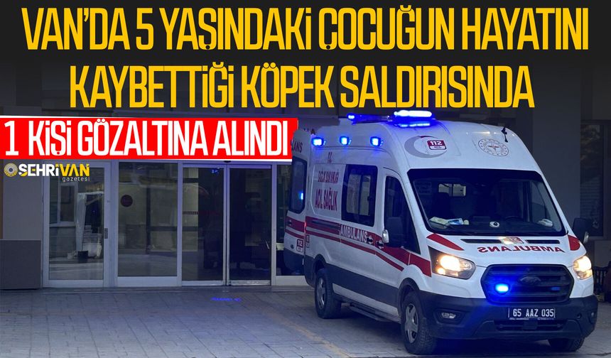Van'da köpek dehşetinde flaş gelişme: Belediye personeli gözaltına alındı