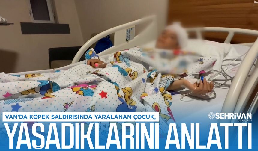 Van'da köpek saldırısında yaralanan çocuk, yaşadıklarını anlattı