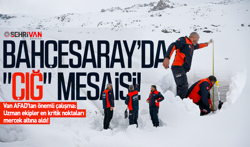 Van-Bahçesaray yolunda "çığ" mesaisi: Uzman ekipler en kritik noktaları mercek altına aldı!